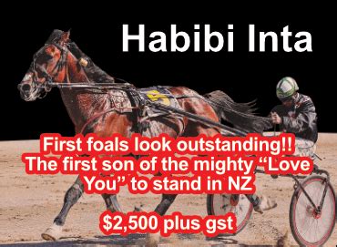 harness racing results|HRNZ .